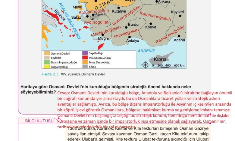 10. Sınıf Meb Yayınları Tarih Ders Kitabı Sayfa 58 Cevapları