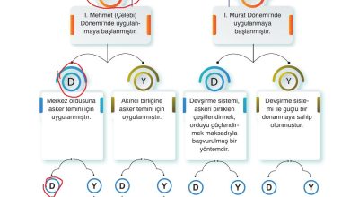 10. Sınıf Meb Yayınları Tarih Ders Kitabı Sayfa 97 Cevapları