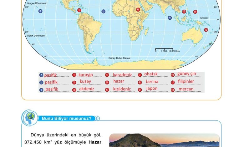 10. Sınıf Tutku Yayıncılık Coğrafya Ders Kitabı Sayfa 100 Cevapları