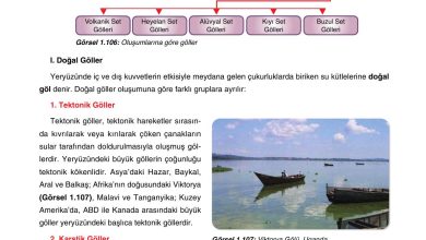 10. Sınıf Tutku Yayıncılık Coğrafya Ders Kitabı Sayfa 101 Cevapları