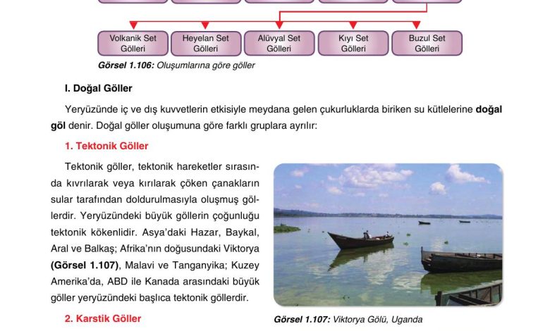 10. Sınıf Tutku Yayıncılık Coğrafya Ders Kitabı Sayfa 101 Cevapları