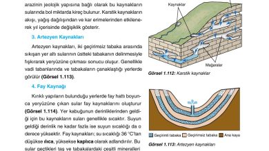 10. Sınıf Tutku Yayıncılık Coğrafya Ders Kitabı Sayfa 105 Cevapları