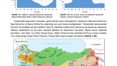 10. Sınıf Tutku Yayıncılık Coğrafya Ders Kitabı Sayfa 111 Cevapları