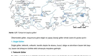 10. Sınıf Tutku Yayıncılık Coğrafya Ders Kitabı Sayfa 112 Cevapları