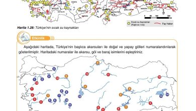 10. Sınıf Tutku Yayıncılık Coğrafya Ders Kitabı Sayfa 116 Cevapları