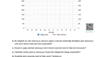 10. Sınıf Tutku Yayıncılık Coğrafya Ders Kitabı Sayfa 119 Cevapları