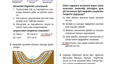 10. Sınıf Tutku Yayıncılık Coğrafya Ders Kitabı Sayfa 120 Cevapları