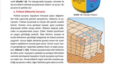 10. Sınıf Tutku Yayıncılık Coğrafya Ders Kitabı Sayfa 123 Cevapları