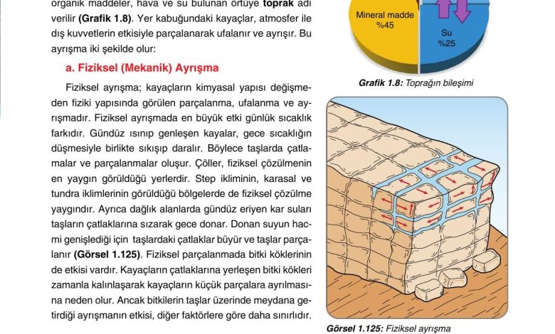 10. Sınıf Tutku Yayıncılık Coğrafya Ders Kitabı Sayfa 123 Cevapları