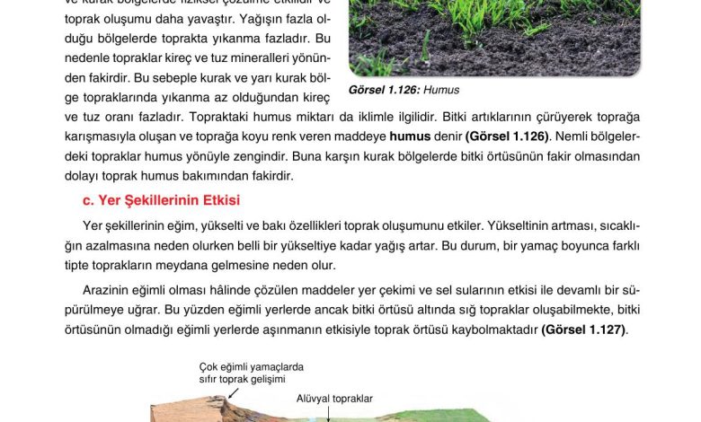 10. Sınıf Tutku Yayıncılık Coğrafya Ders Kitabı Sayfa 125 Cevapları