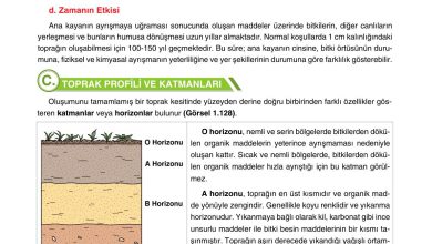 10. Sınıf Tutku Yayıncılık Coğrafya Ders Kitabı Sayfa 126 Cevapları