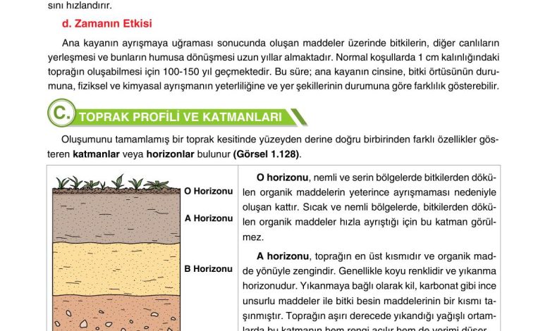 10. Sınıf Tutku Yayıncılık Coğrafya Ders Kitabı Sayfa 126 Cevapları