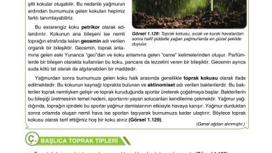 10. Sınıf Tutku Yayıncılık Coğrafya Ders Kitabı Sayfa 127 Cevapları