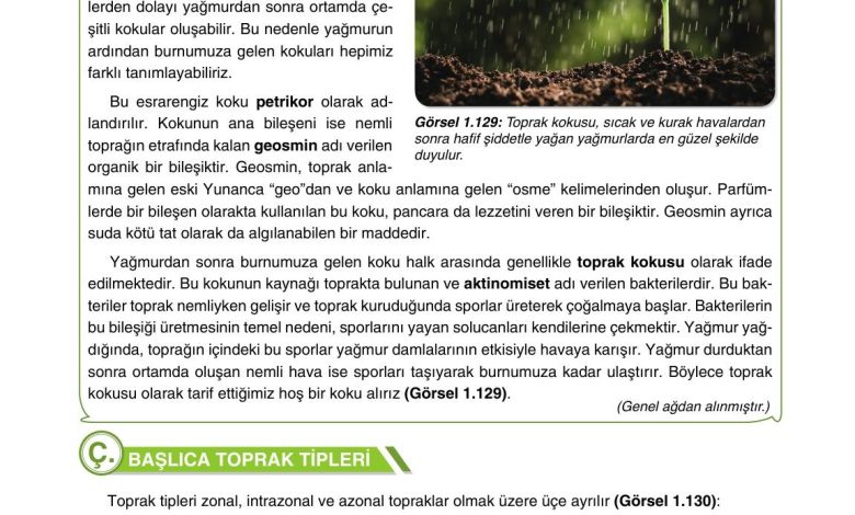 10. Sınıf Tutku Yayıncılık Coğrafya Ders Kitabı Sayfa 127 Cevapları