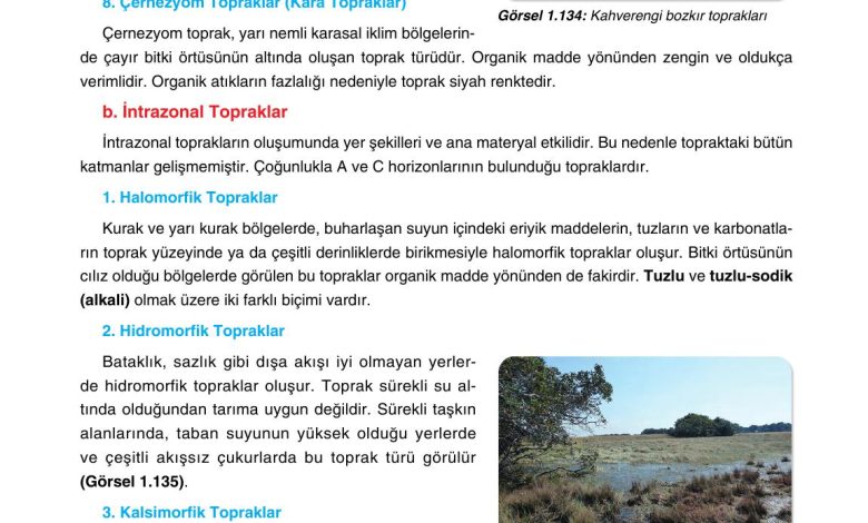 10. Sınıf Tutku Yayıncılık Coğrafya Ders Kitabı Sayfa 129 Cevapları