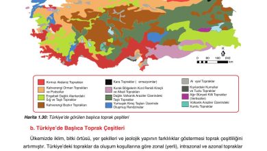 10. Sınıf Tutku Yayıncılık Coğrafya Ders Kitabı Sayfa 132 Cevapları