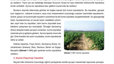 10. Sınıf Tutku Yayıncılık Coğrafya Ders Kitabı Sayfa 135 Cevapları