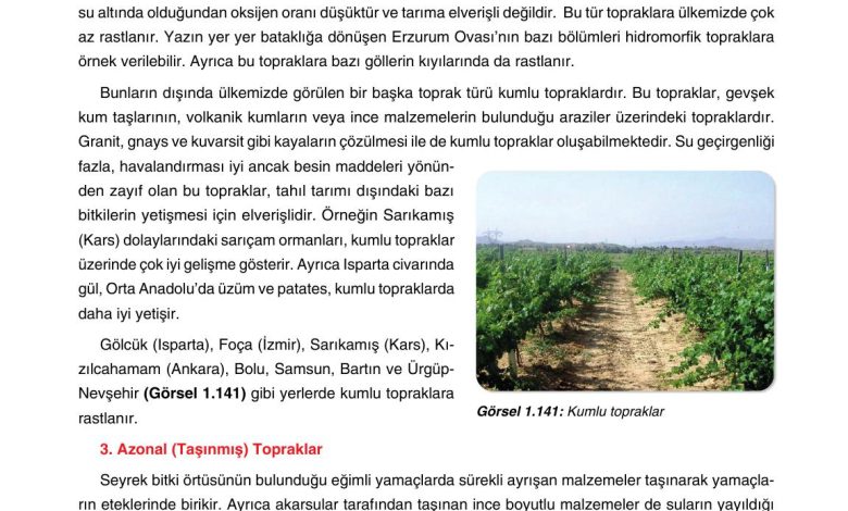 10. Sınıf Tutku Yayıncılık Coğrafya Ders Kitabı Sayfa 135 Cevapları