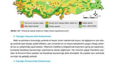 10. Sınıf Tutku Yayıncılık Coğrafya Ders Kitabı Sayfa 137 Cevapları