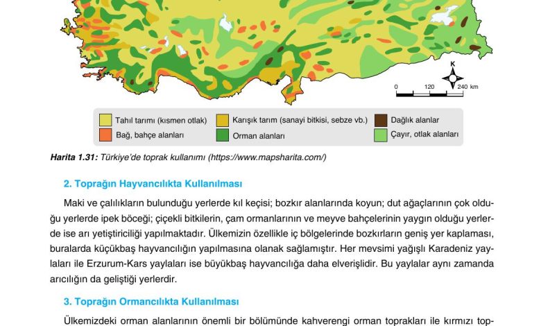 10. Sınıf Tutku Yayıncılık Coğrafya Ders Kitabı Sayfa 137 Cevapları