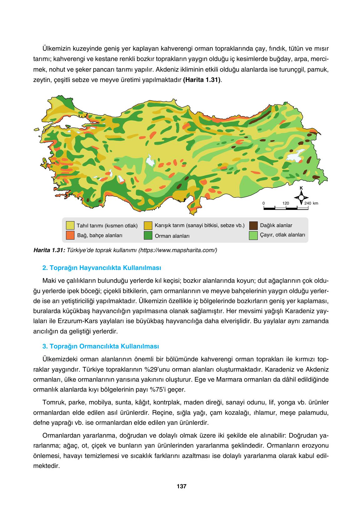 10. Sınıf Tutku Yayıncılık Coğrafya Ders Kitabı Sayfa 137 Cevapları