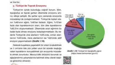 10. Sınıf Tutku Yayıncılık Coğrafya Ders Kitabı Sayfa 138 Cevapları