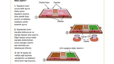 10. Sınıf Tutku Yayıncılık Coğrafya Ders Kitabı Sayfa 139 Cevapları