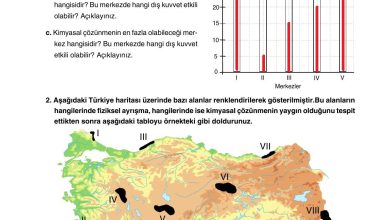 10. Sınıf Tutku Yayıncılık Coğrafya Ders Kitabı Sayfa 140 Cevapları