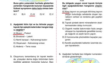 10. Sınıf Tutku Yayıncılık Coğrafya Ders Kitabı Sayfa 141 Cevapları