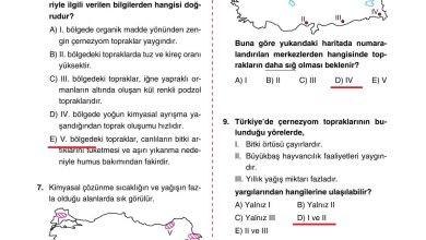 10. Sınıf Tutku Yayıncılık Coğrafya Ders Kitabı Sayfa 142 Cevapları