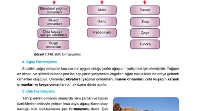 10. Sınıf Tutku Yayıncılık Coğrafya Ders Kitabı Sayfa 146 Cevapları