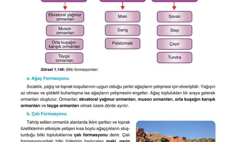 10. Sınıf Tutku Yayıncılık Coğrafya Ders Kitabı Sayfa 146 Cevapları