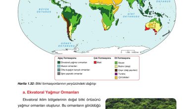 10. Sınıf Tutku Yayıncılık Coğrafya Ders Kitabı Sayfa 147 Cevapları