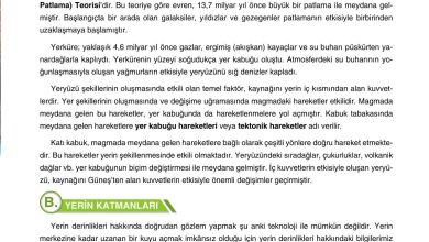 10. Sınıf Tutku Yayıncılık Coğrafya Ders Kitabı Sayfa 15 Cevapları