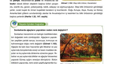 10. Sınıf Tutku Yayıncılık Coğrafya Ders Kitabı Sayfa 150 Cevapları