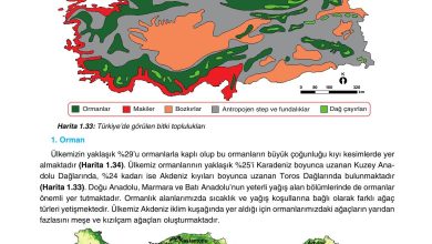 10. Sınıf Tutku Yayıncılık Coğrafya Ders Kitabı Sayfa 153 Cevapları