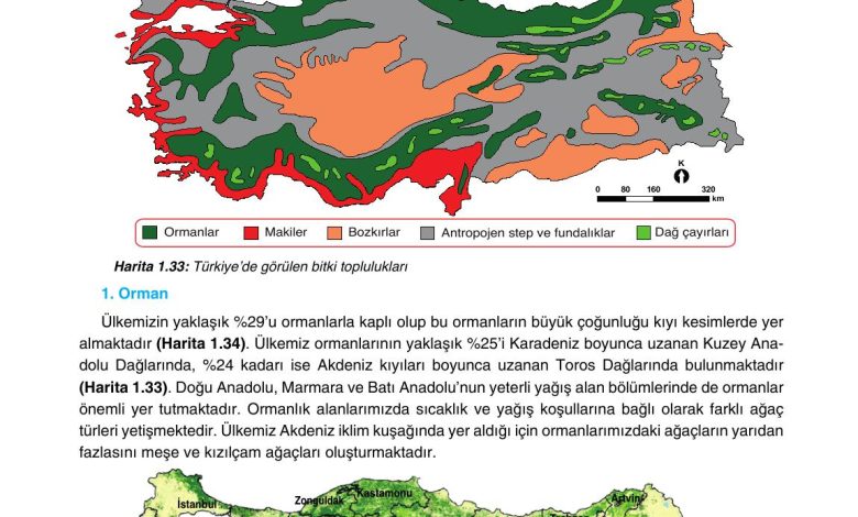 10. Sınıf Tutku Yayıncılık Coğrafya Ders Kitabı Sayfa 153 Cevapları