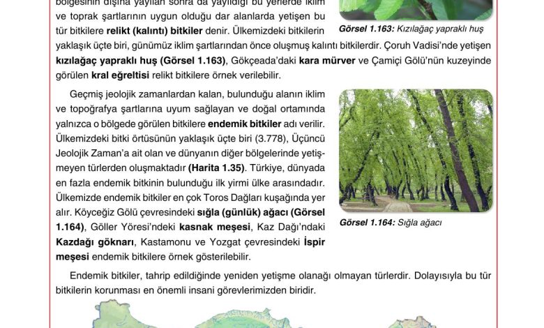 10. Sınıf Tutku Yayıncılık Coğrafya Ders Kitabı Sayfa 155 Cevapları