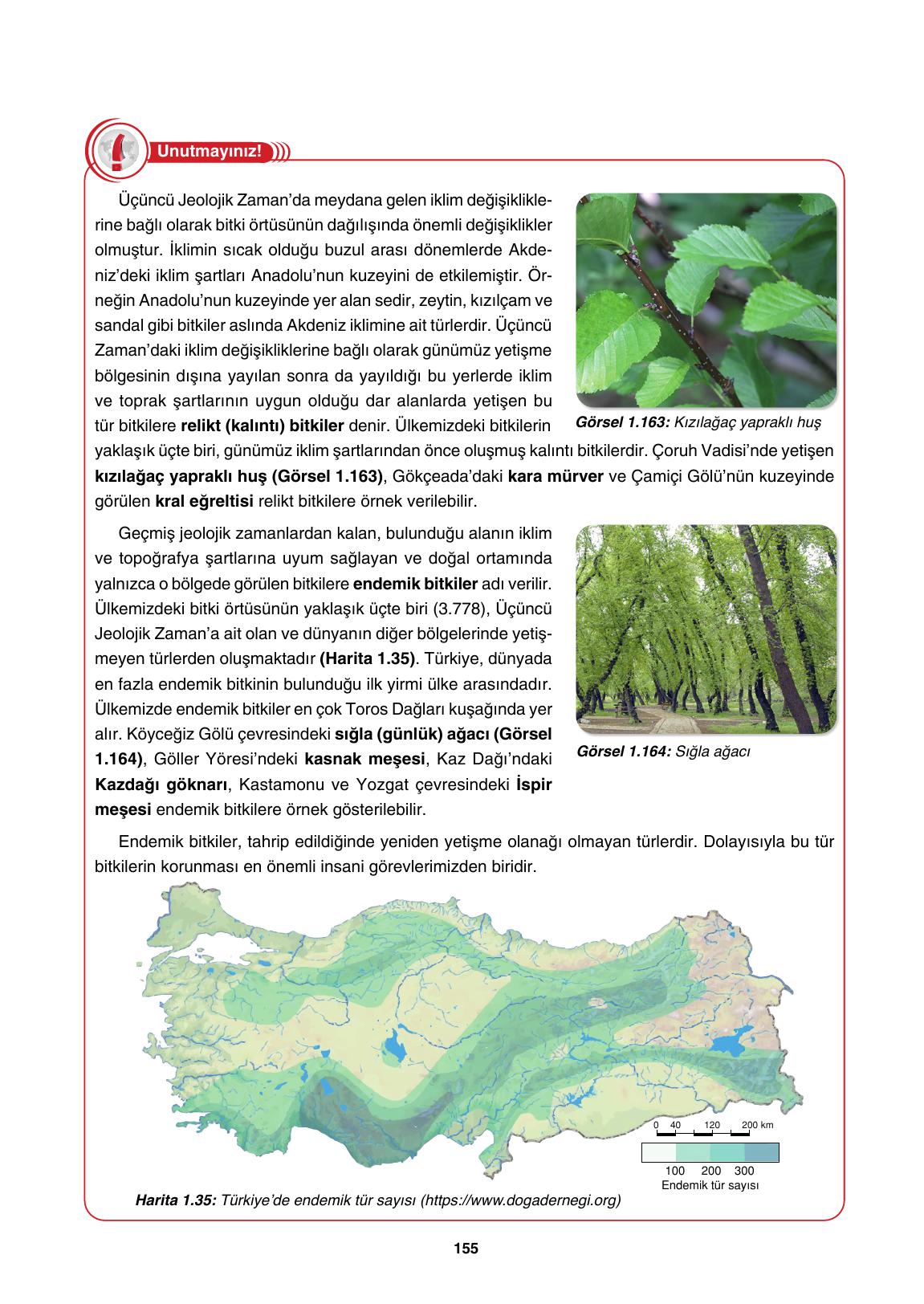 10. Sınıf Tutku Yayıncılık Coğrafya Ders Kitabı Sayfa 155 Cevapları