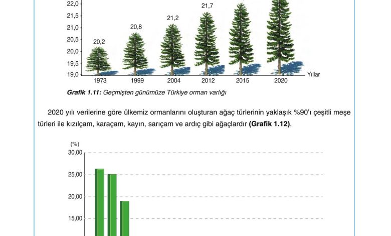 10. Sınıf Tutku Yayıncılık Coğrafya Ders Kitabı Sayfa 156 Cevapları