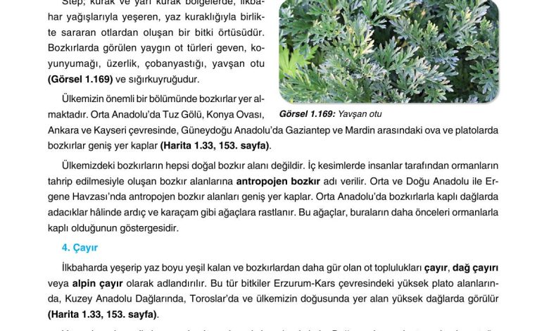 10. Sınıf Tutku Yayıncılık Coğrafya Ders Kitabı Sayfa 158 Cevapları