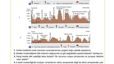 10. Sınıf Tutku Yayıncılık Coğrafya Ders Kitabı Sayfa 159 Cevapları