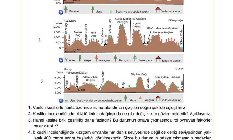 10. Sınıf Tutku Yayıncılık Coğrafya Ders Kitabı Sayfa 159 Cevapları