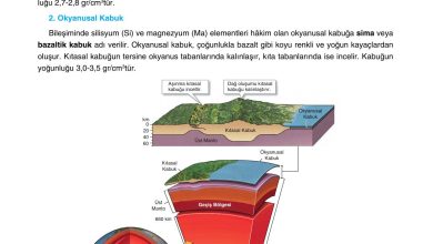 10. Sınıf Tutku Yayıncılık Coğrafya Ders Kitabı Sayfa 16 Cevapları