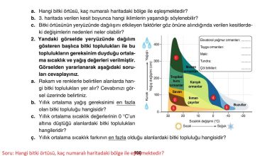 10. Sınıf Tutku Yayıncılık Coğrafya Ders Kitabı Sayfa 160 Cevapları