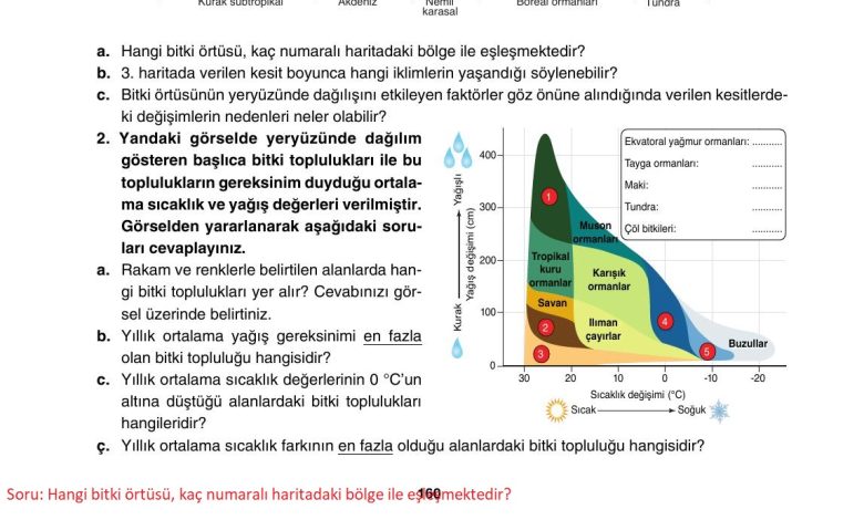 10. Sınıf Tutku Yayıncılık Coğrafya Ders Kitabı Sayfa 160 Cevapları