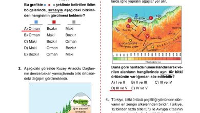 10. Sınıf Tutku Yayıncılık Coğrafya Ders Kitabı Sayfa 161 Cevapları