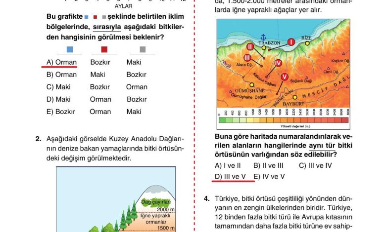 10. Sınıf Tutku Yayıncılık Coğrafya Ders Kitabı Sayfa 161 Cevapları