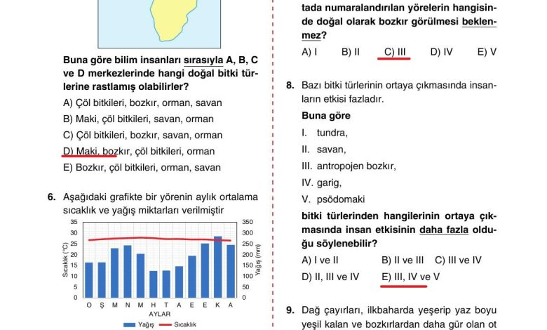 10. Sınıf Tutku Yayıncılık Coğrafya Ders Kitabı Sayfa 162 Cevapları