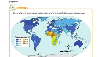 10. Sınıf Tutku Yayıncılık Coğrafya Ders Kitabı Sayfa 169 Cevapları